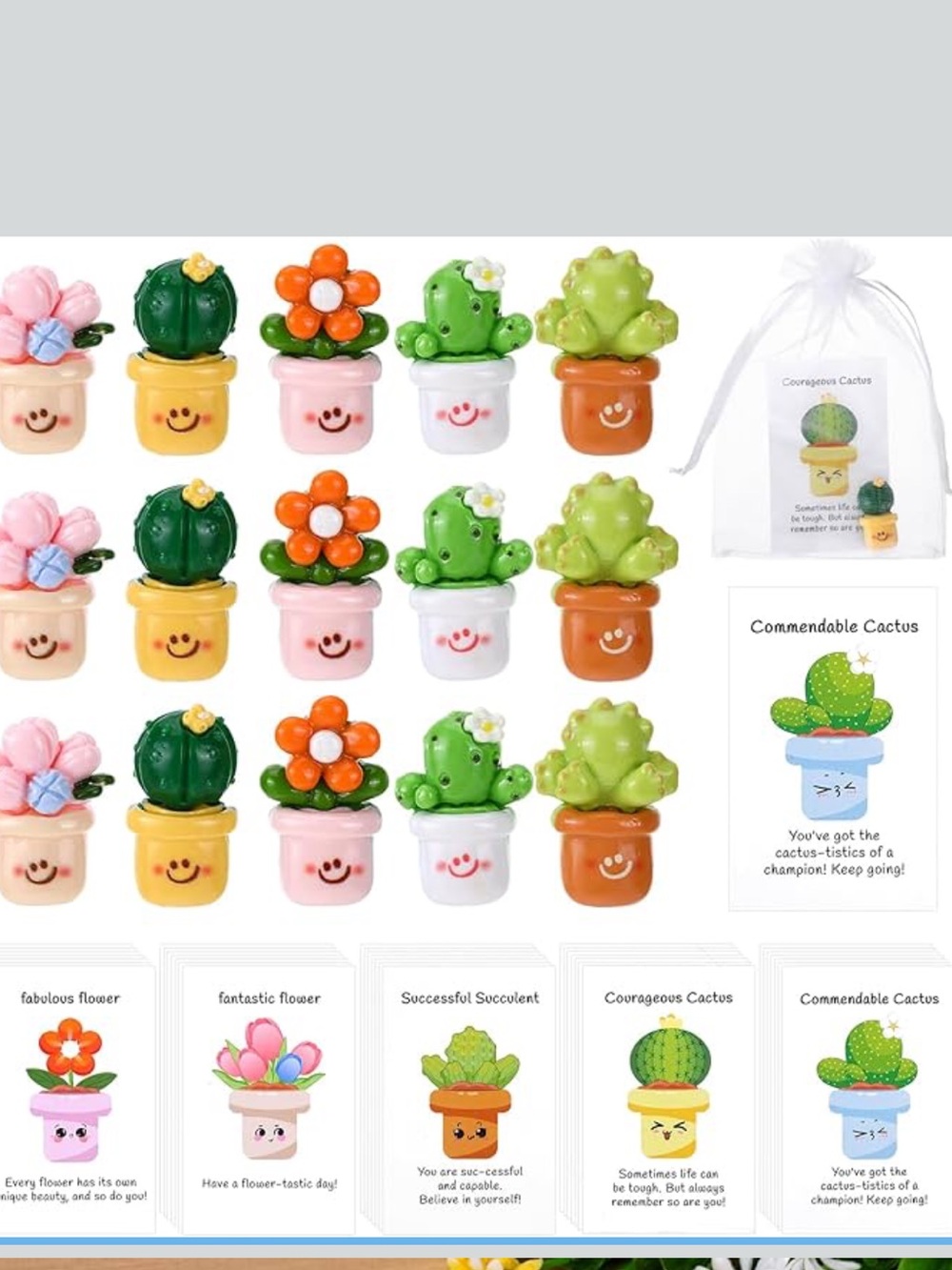 Mini cactus gifts (set of 10)